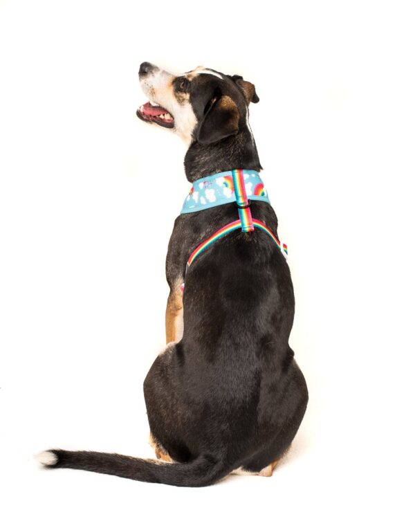 Big & Little Dogs 'Beary Cute' Panda and Rainbow Print Reversible Blue Dog Harness