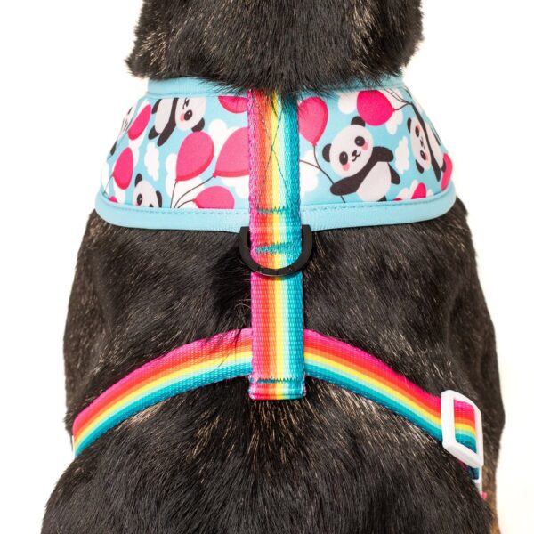 Big & Little Dogs 'Beary Cute' Panda and Rainbow Print Reversible Blue Dog Harness