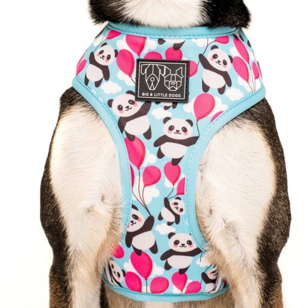 Big & Little Dogs 'Beary Cute' Panda and Rainbow Print Reversible Blue Dog Harness