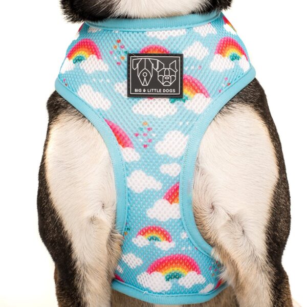 Big & Little Dogs 'Beary Cute' Panda and Rainbow Print Reversible Blue Dog Harness