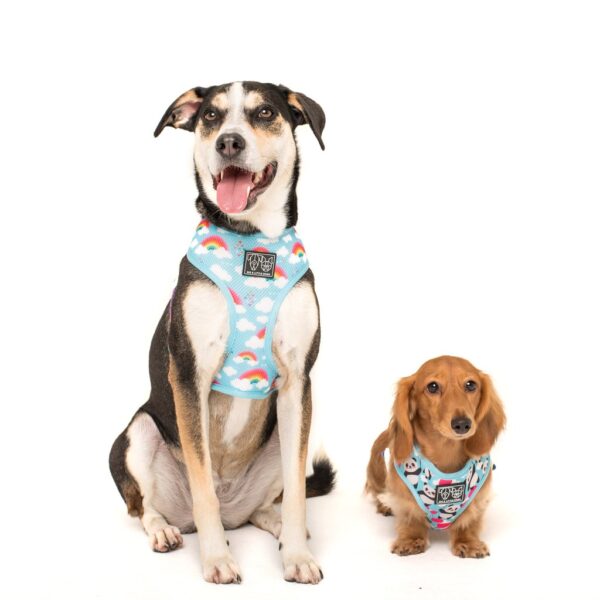 Cute dogs wearing Big & Little Dogs 'Beary Cute' Panda and Rainbow Print Reversible Blue Dog Harness