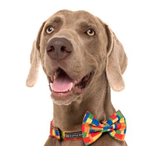Big & Little Dogs 'Blocktastic' Lego Block Print Adjustable Red Dog Collar and Detachable Dog Bow Tie