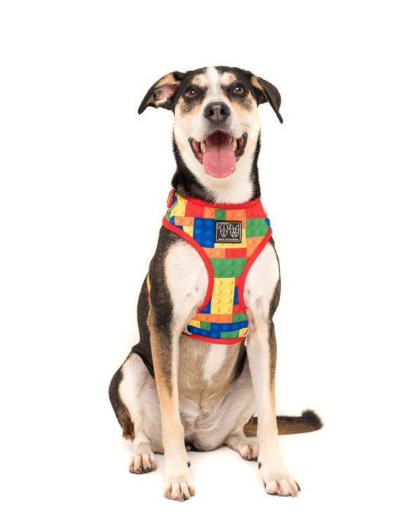 Big dog wearing Big & Little Dogs 'Blocktastic' Lego Block Print Adjustable Red Dog Harness