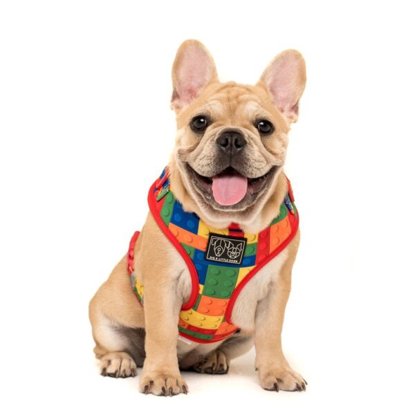 Frenchie wearing Big & Little Dogs 'Blocktastic' Lego Block Print Adjustable Red Dog Harness