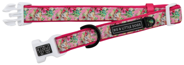 Big & Little Dogs 'Born to be a Unicorn' Dog Collar and Detachable Bow Tie
