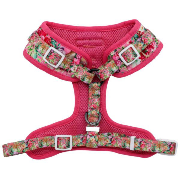 Big & Little Dogs 'Born to be a Unicorn' Unicorn and Flower Adjustable Dog Harness