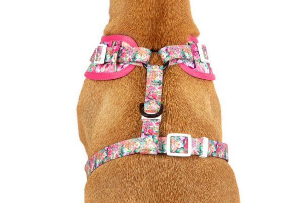 Big & Little Dogs 'Born to be a Unicorn' Unicorn and Flower Adjustable Dog Harness