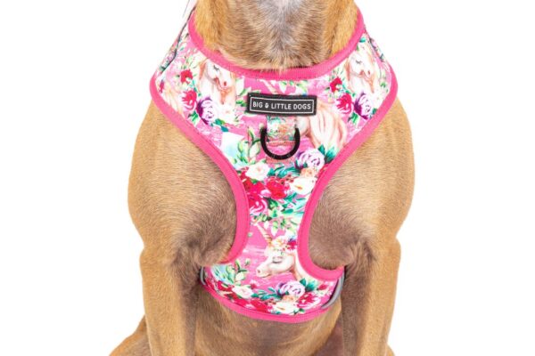 Big & Little Dogs 'Born to be a Unicorn' Unicorn and Flower Adjustable Dog Harness