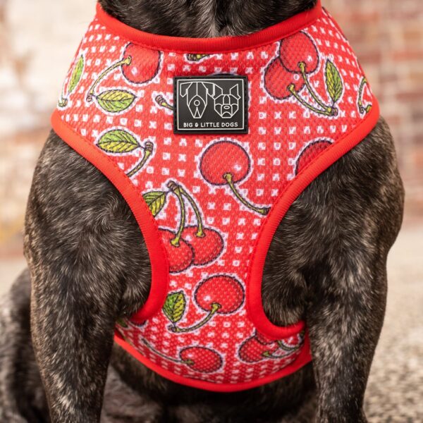 Cherry design 'Cherrylicious' Classic Red Dog Harness by Big & Little Dogs