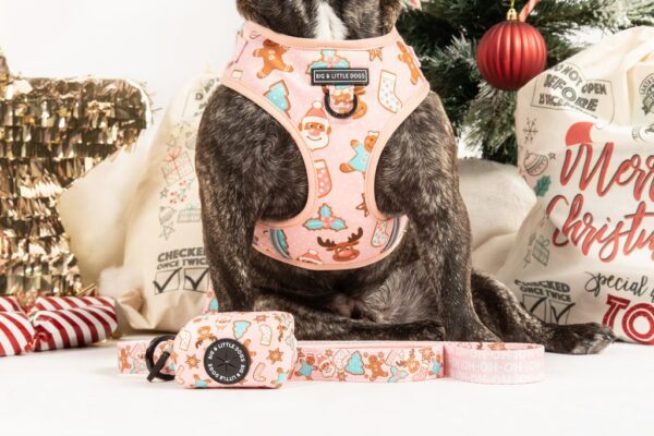 Big & Little Dogs 'Christmas Cookies' Christmas Dog Lead