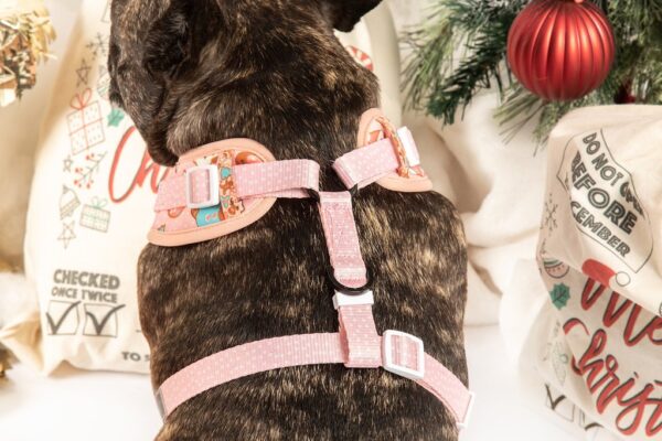 Big & Little Dogs 'Christmas Cookies' Adjustable Dog Harness