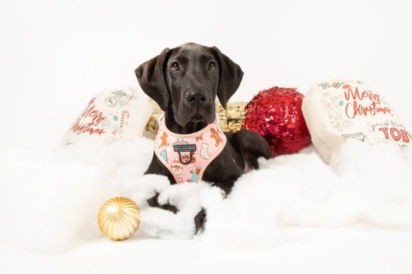 Big & Little Dogs 'Christmas Cookies' Adjustable Dog Harness