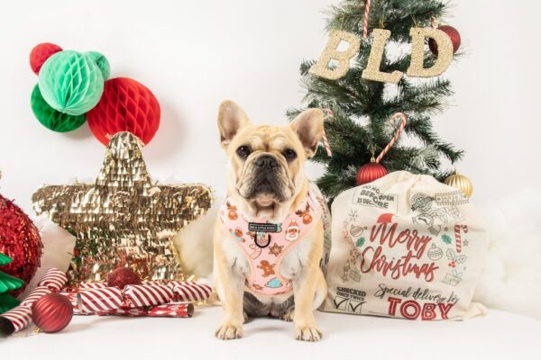 Big & Little Dogs 'Christmas Cookies' Adjustable Dog Harness