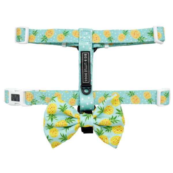 Big & Little Dogs 'Fine-apple' blue Strap Dog Harness featuring a pineapple and dot print design