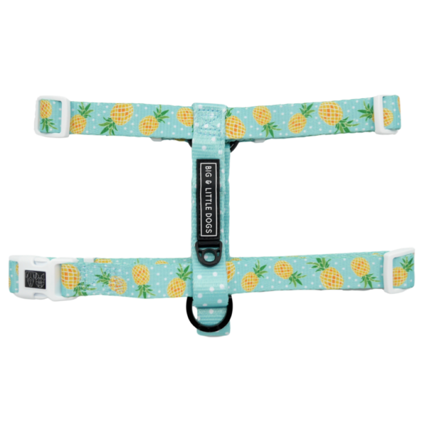 Big & Little Dogs 'Fine-apple' blue Strap Dog Harness featuring a pineapple and dot print design