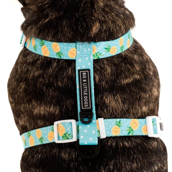 Big & Little Dogs 'Fine-apple' blue Strap Dog Harness featuring a pineapple and dot print design