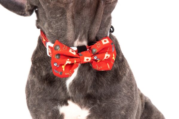 Big & Little Dogs 'Harry Pupper' Red Dog Collar and Detachable Bow Tie