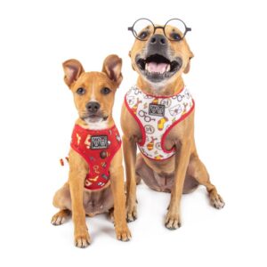 Cute dogs wearing Big & Little Dogs 'Harry Pupper' Reversible Red Dog Harness