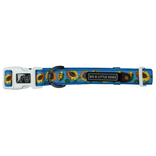 Big & Little Dogs 'Hello Sunshine' Adjustable Sunflower Print Dog Collar