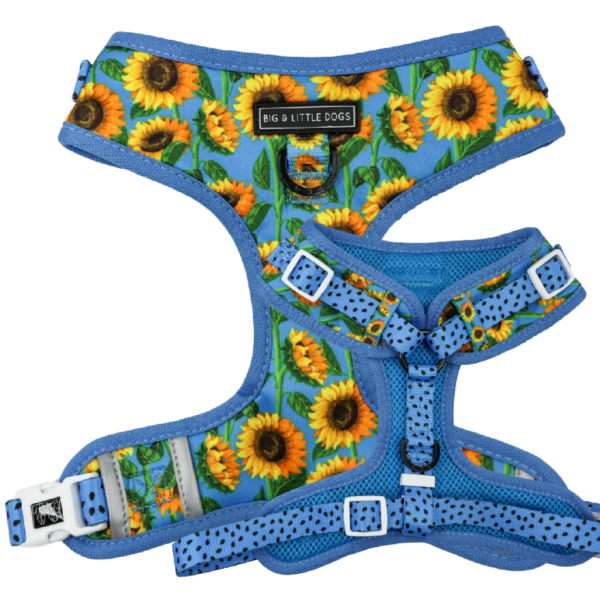 Big & Little Dogs 'Hello Sunshine' Adjustable Dog Harness
