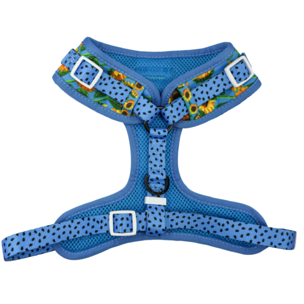 Big & Little Dogs 'Hello Sunshine' Adjustable Dog Harness