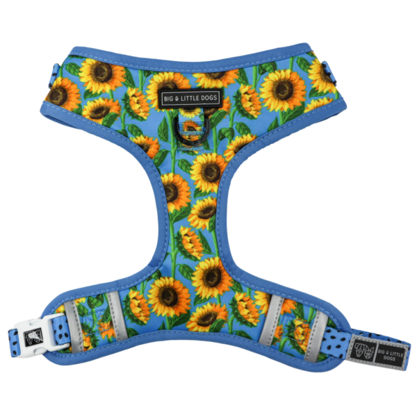 Big & Little Dogs 'Hello Sunshine' Adjustable Dog Harness
