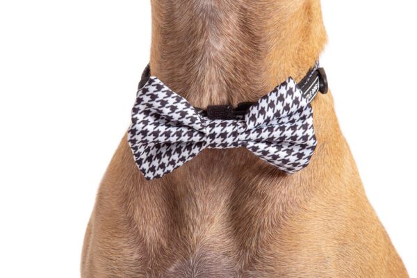 Big & Little Dogs 'Houndstooth Squad' Black and White Dog Collar and Detachable Bow Tie