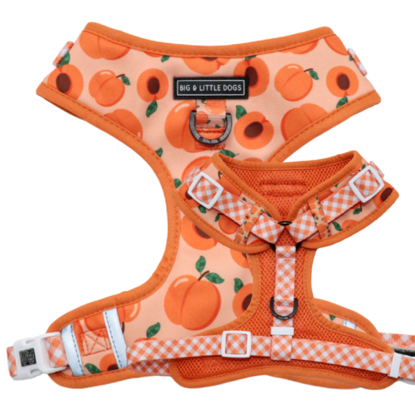 Big & Little Dogs 'Just Peachy' Adjustable Dog Harness