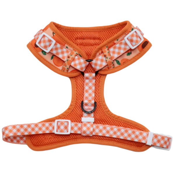 Big & Little Dogs 'Just Peachy' Adjustable Dog Harness