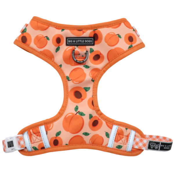 Big & Little Dogs 'Just Peachy' Adjustable Dog Harness