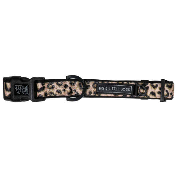 Big & Little Dogs 'Luxurious Leopard' Adjustable Dog Collar