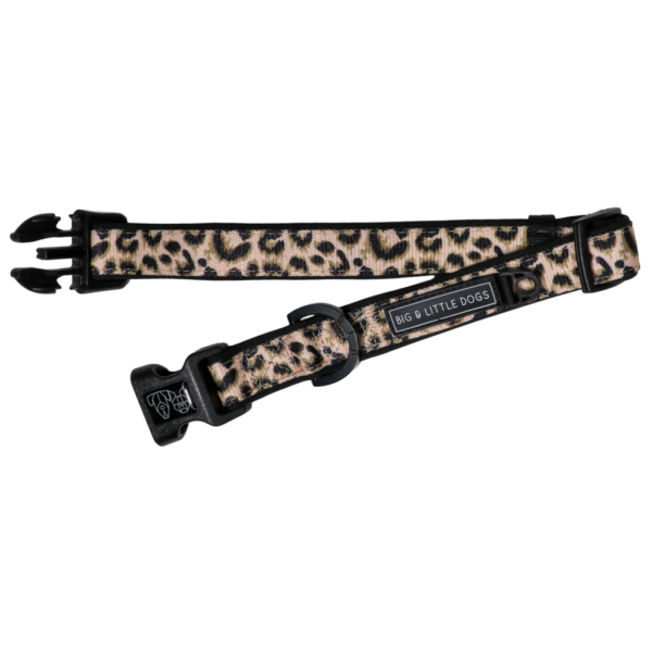 Big & Little Dogs 'Luxurious Leopard' Adjustable Dog Collar