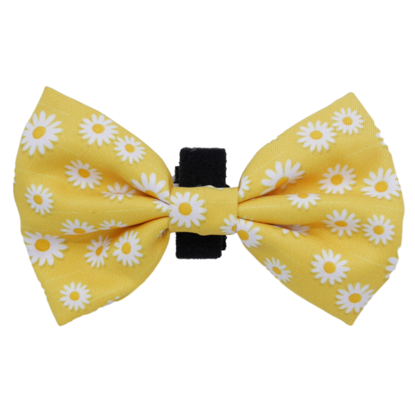 Big & Little Dogs 'Oopsie Daisy' Detachable Dog Bow Tie