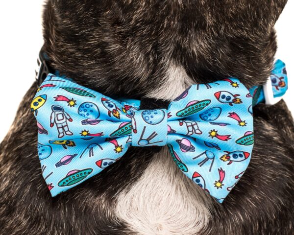 Big & Little Dogs 'Out Of This World' Detachable Dog Bow Tie