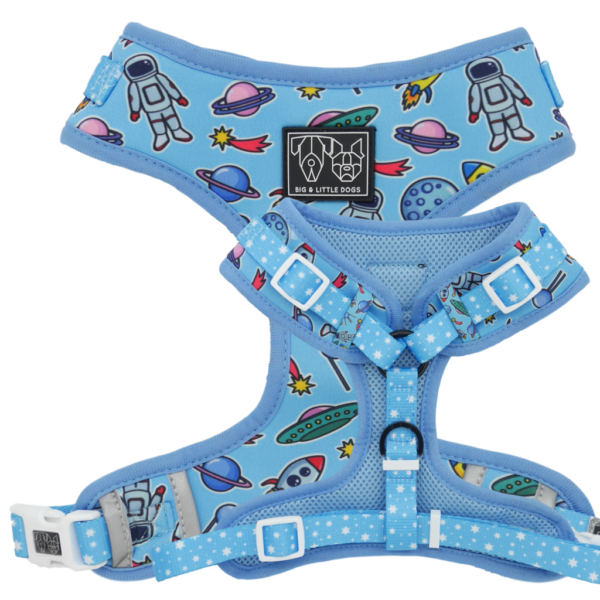 Big & Little Dogs 'Out Of This World' Space Print Adjustable Blue Dog Harness