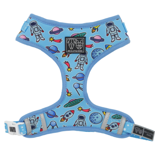 Big & Little Dogs 'Out Of This World' Space Print Adjustable Blue Dog Harness