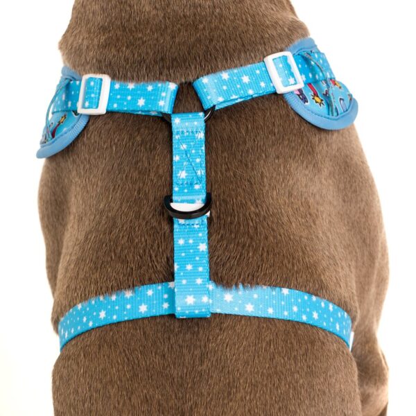 Big & Little Dogs 'Out Of This World' Space Print Adjustable Blue Dog Harness