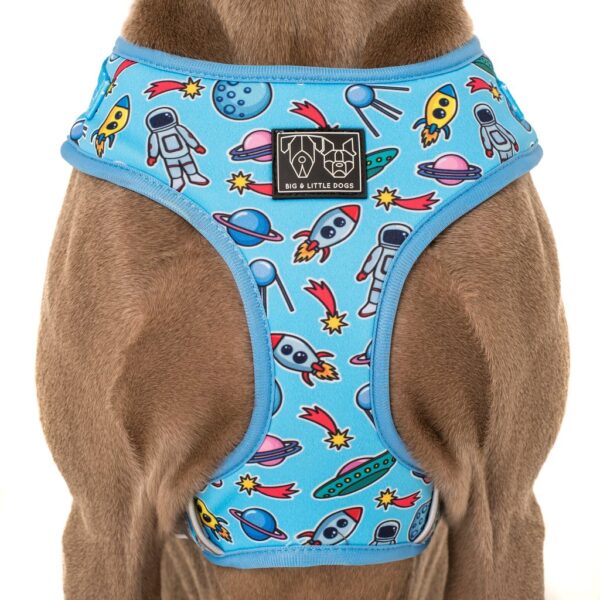 Big & Little Dogs 'Out Of This World' Space Print Adjustable Blue Dog Harness