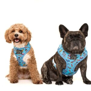 Two dogs wearing Big & Little Dogs 'Out Of This World' Space Print Adjustable Blue Dog Harness