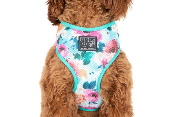 Big & Little Dogs 'Perfect Petal' Floral Print Dog Harness