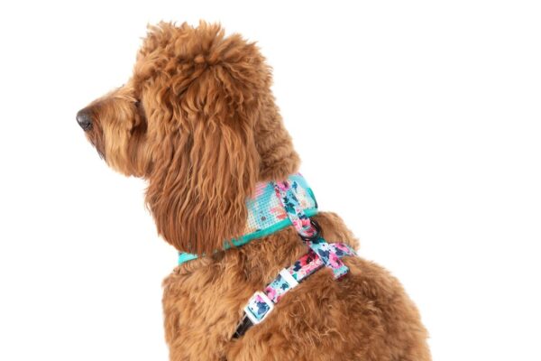 Big & Little Dogs 'Perfect Petal' Floral Print Dog Harness