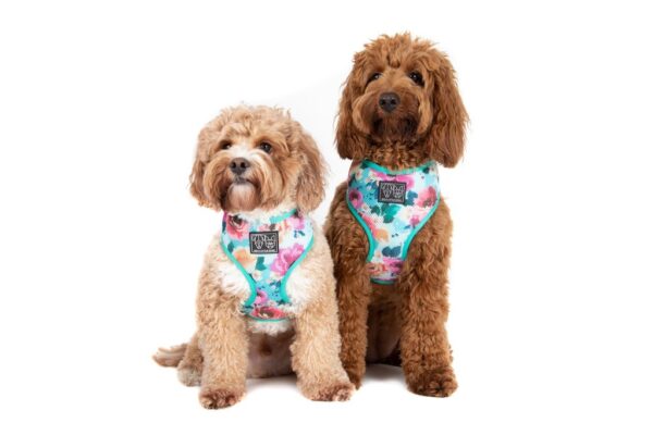 Big & Little Dogs 'Perfect Petal' Floral Print Dog Harness