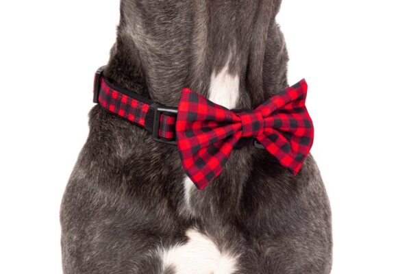 Big & Little Dogs 'Plaid to the Bone' Red and Black Plaid Adjustable Dog Collar and Detachable Dog Bow Tie