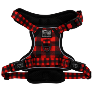 Big & Little Dogs 'Plaid to the Bone' All-Rounder Dog Harness