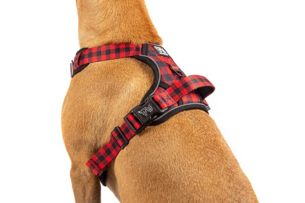 Big & Little Dogs 'Plaid to the Bone' All-Rounder Dog Harness