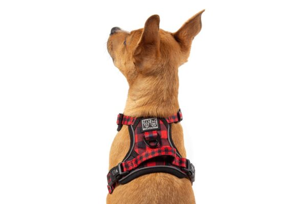 Big & Little Dogs 'Plaid to the Bone' All-Rounder Dog Harness