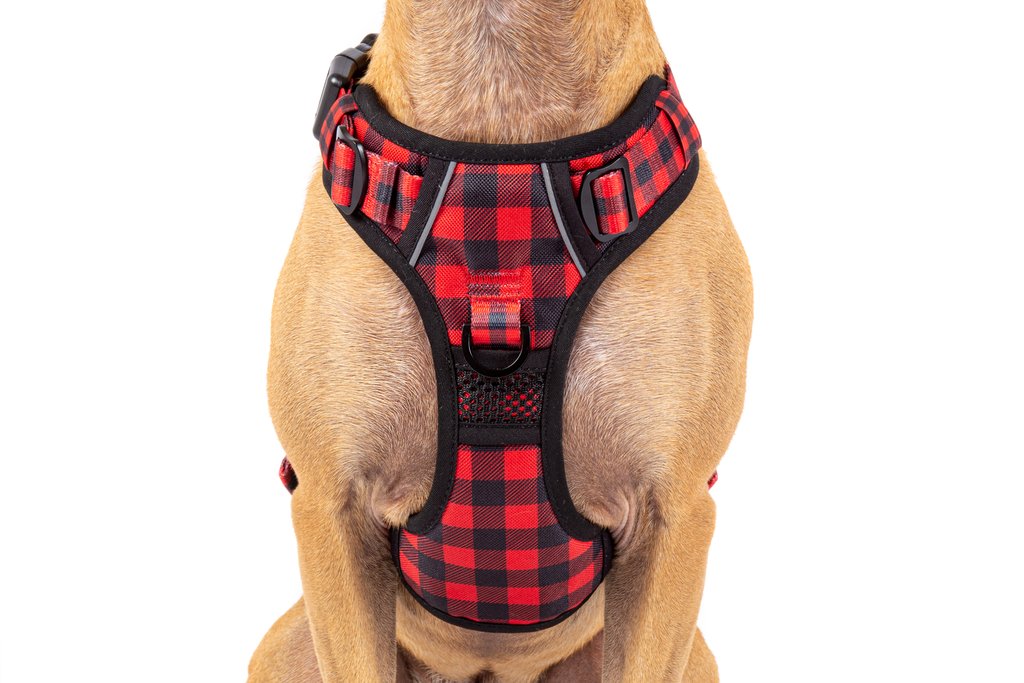 Plaid dog harness and leash outlet