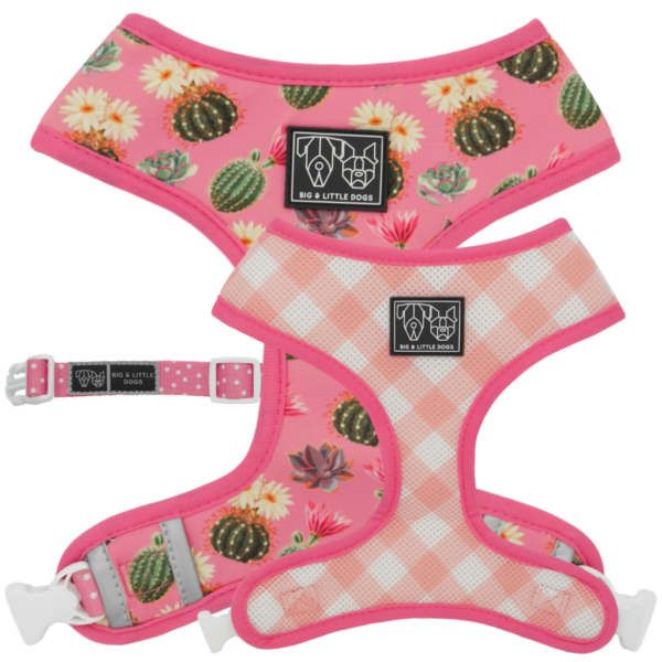 Big & Little Dogs 'Plant One On Me' Cactus and Succulent Print Reversible Pink Dog Harness