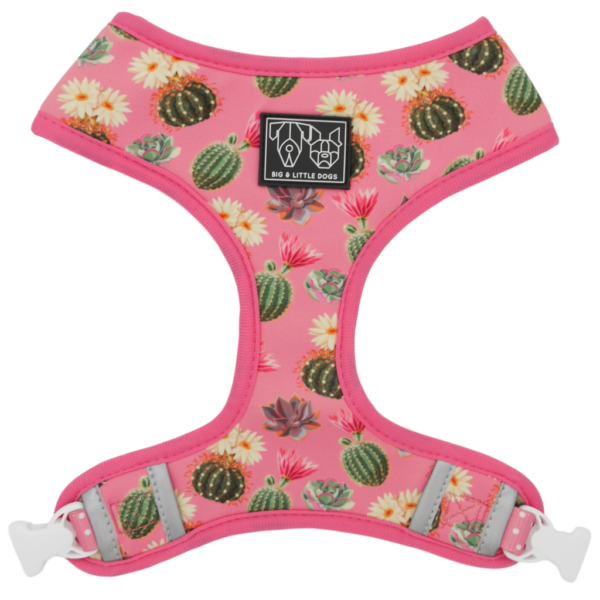 Big & Little Dogs 'Plant One On Me' Cactus and Succulent Print Reversible Pink Dog Harness