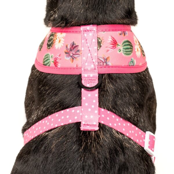 Big & Little Dogs 'Plant One On Me' Cactus and Succulent Print Reversible Pink Dog Harness